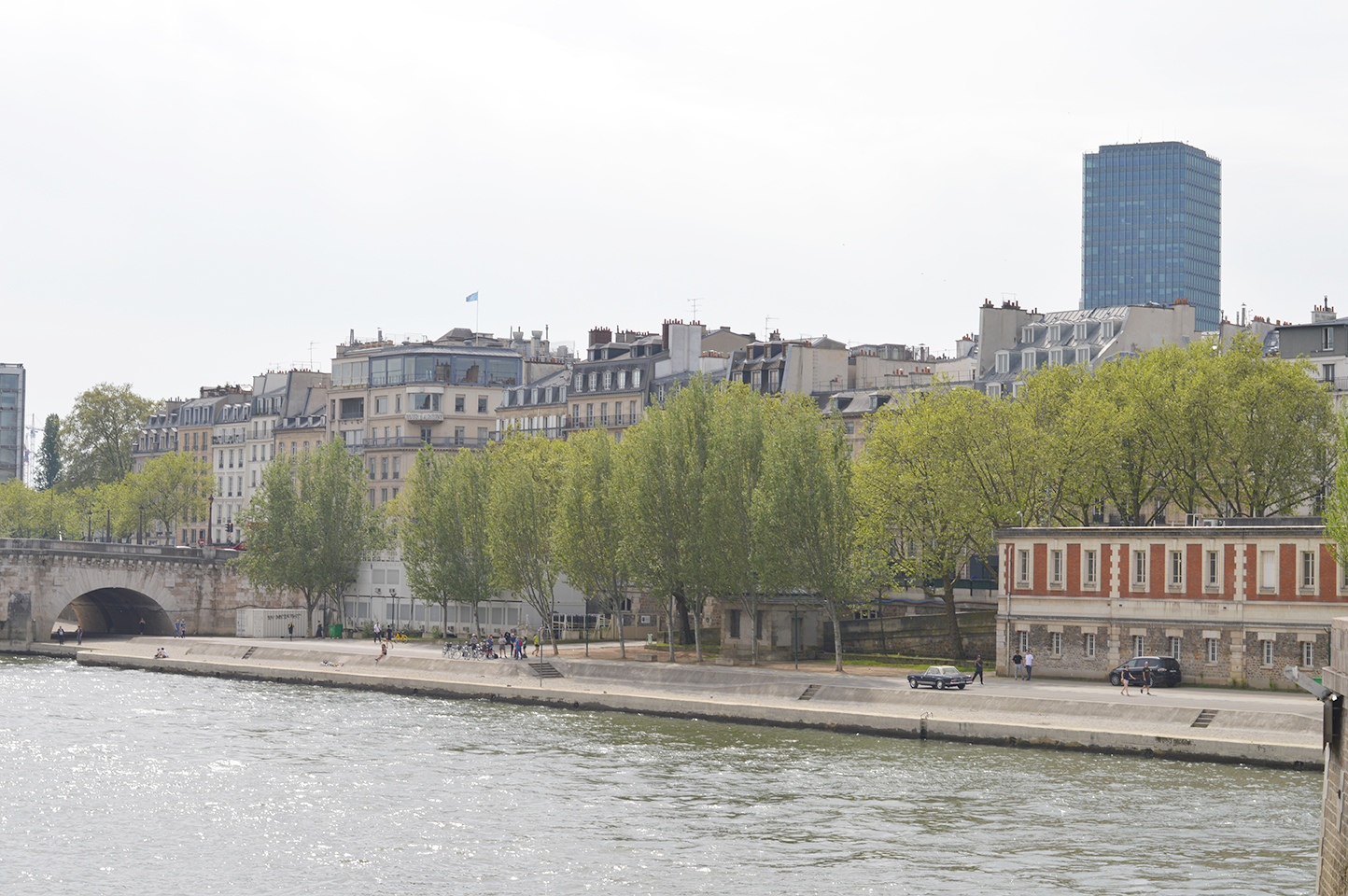 Flâner sur l'île de la Cité, les berges de la Seine