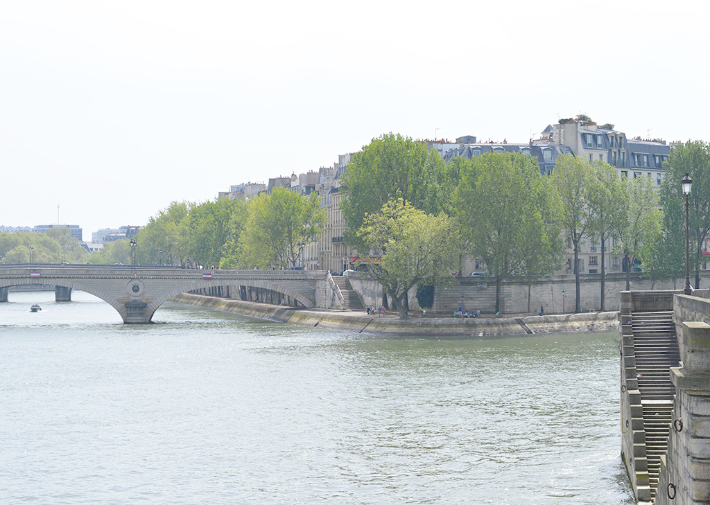 Flâner sur l'île de la Cité, les berges de la Seine